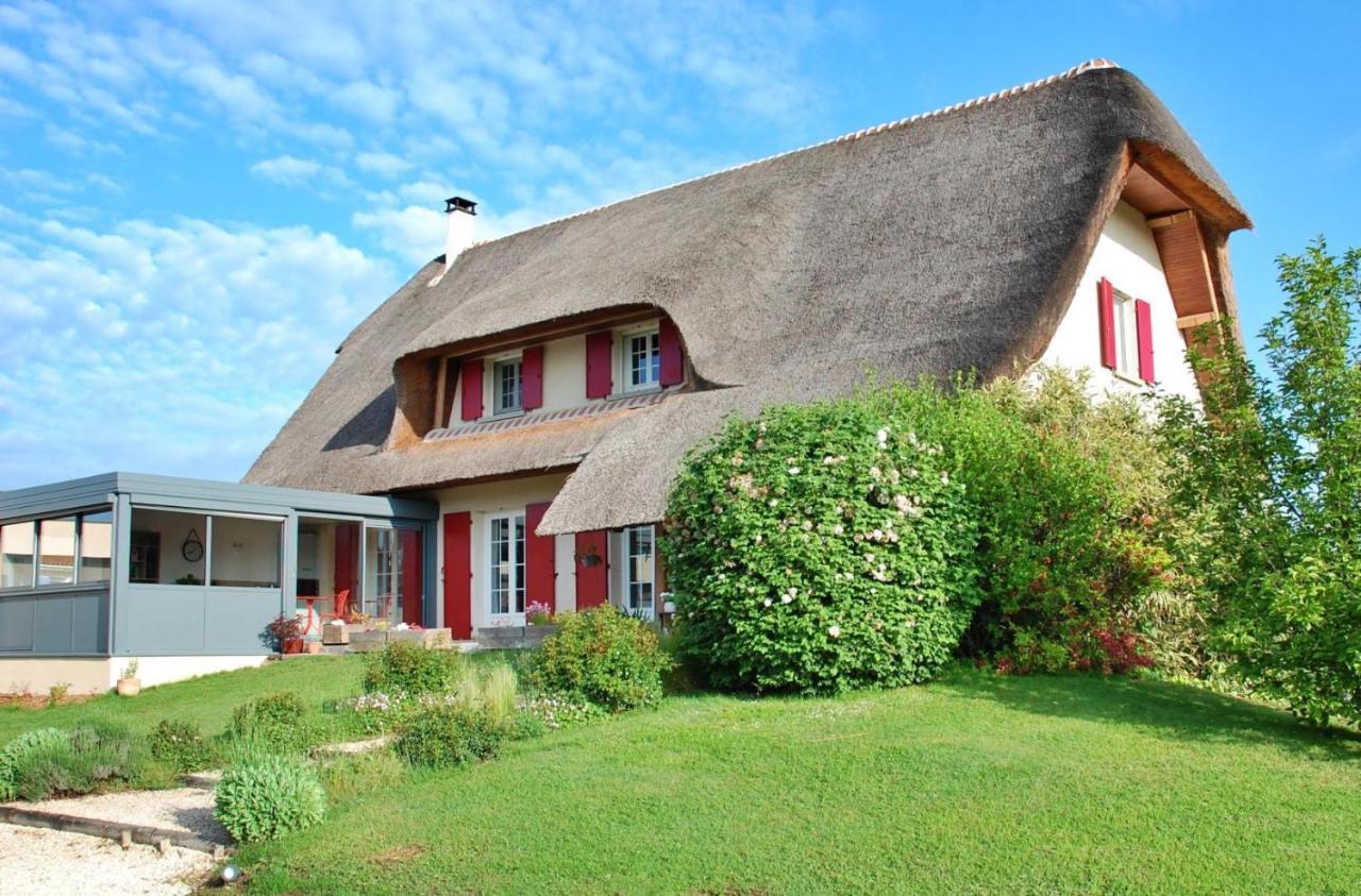 Boisset-lès-Montrond La Cle Des Chaumes B&B 외부 사진